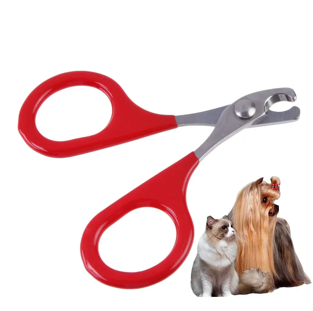 Coupe-Griffes de Précision pour Chiens & Chats – Sécurité, Confort et Simplicité