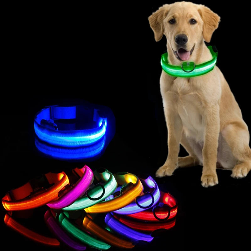Collier lumineux LED pour chien