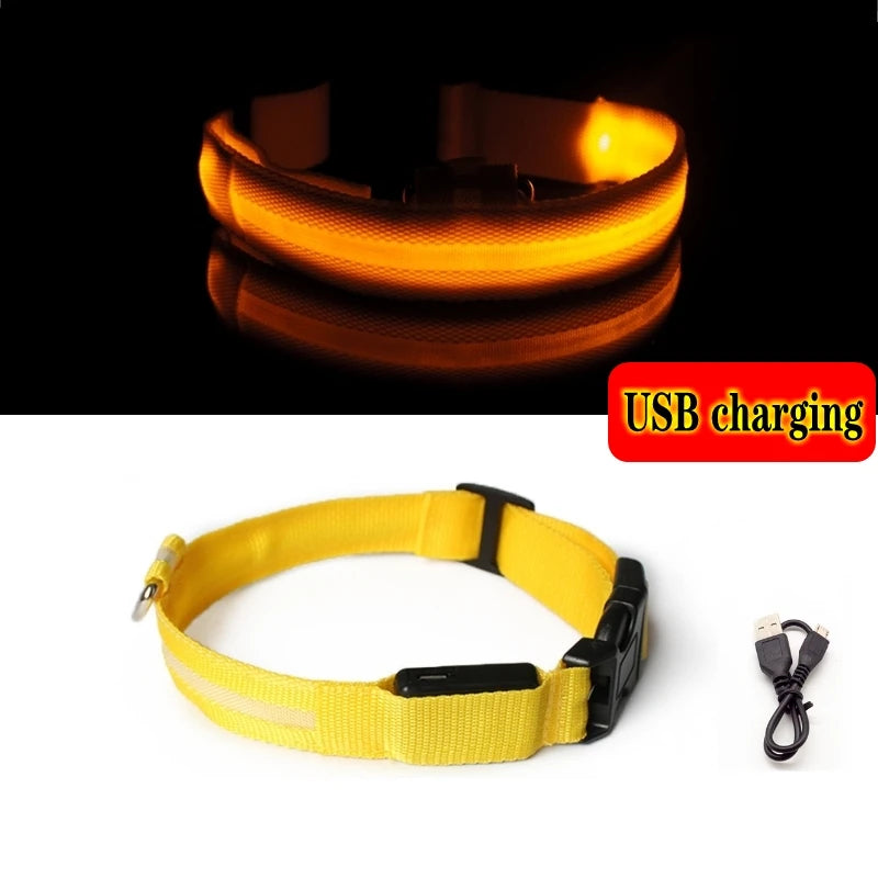 Collier lumineux LED pour chien