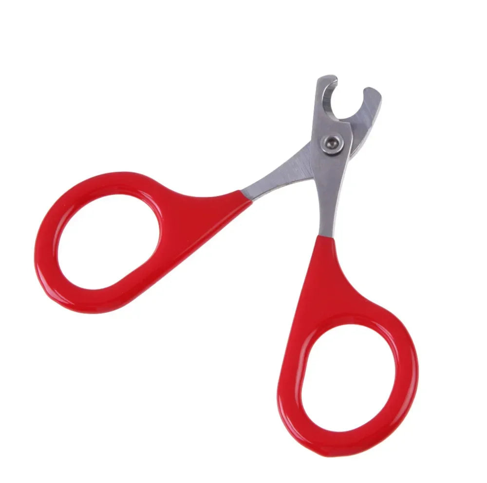 Coupe-Griffes de Précision pour Chiens & Chats – Sécurité, Confort et Simplicité