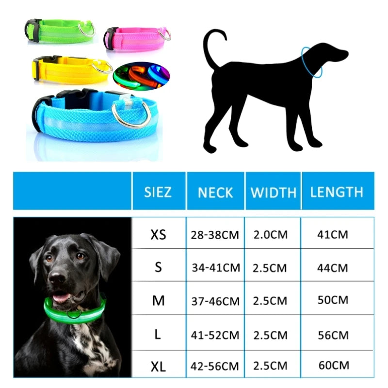 Collier lumineux LED pour chien