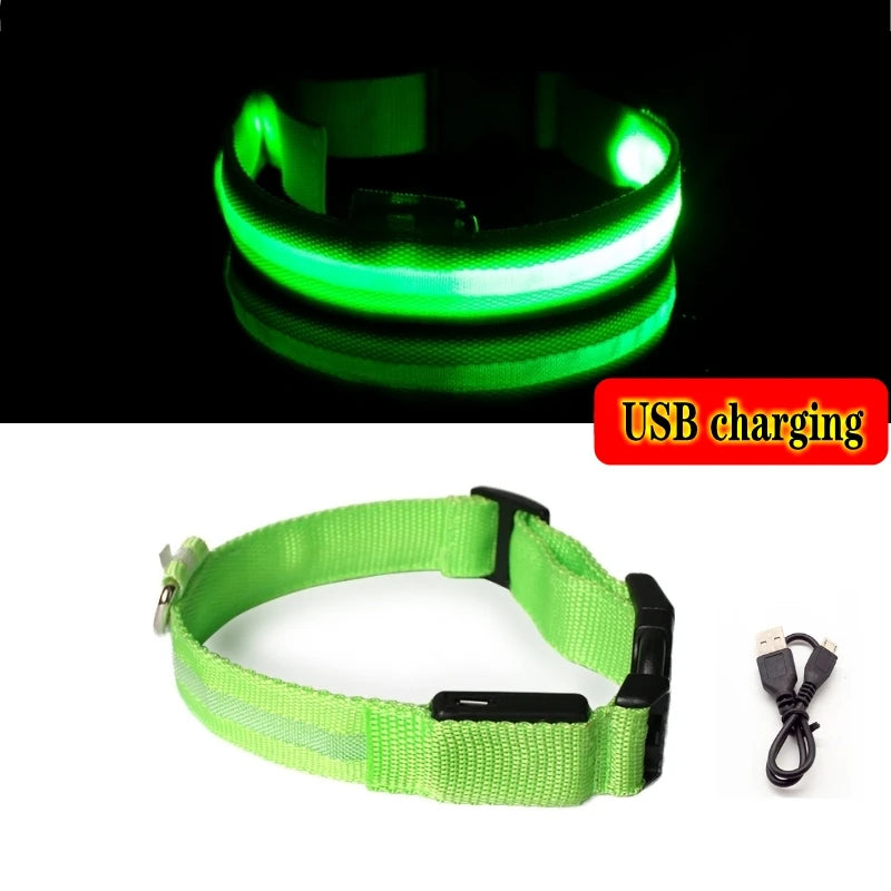 Collier lumineux LED pour chien